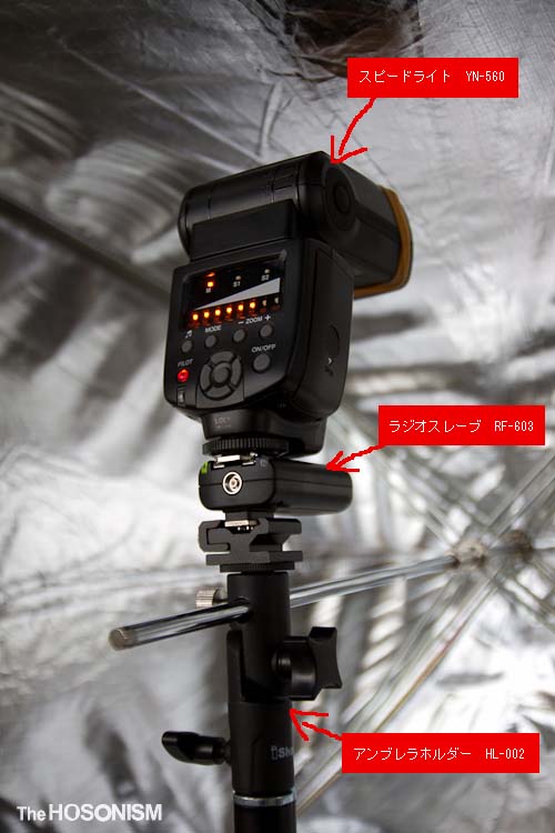 IMG_8756 のコピー.jpg